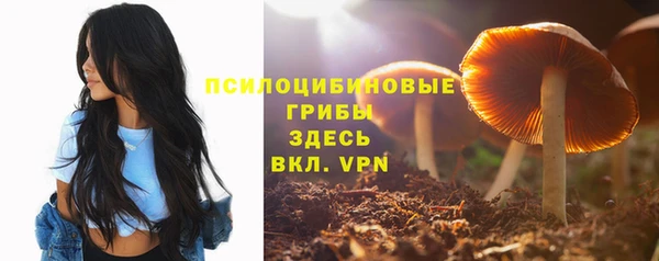 MDMA Premium VHQ Армянск