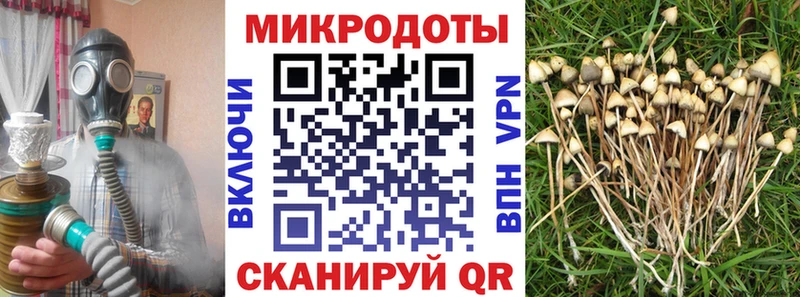 наркота Приозерск Галлюциногенные грибы ЛСД