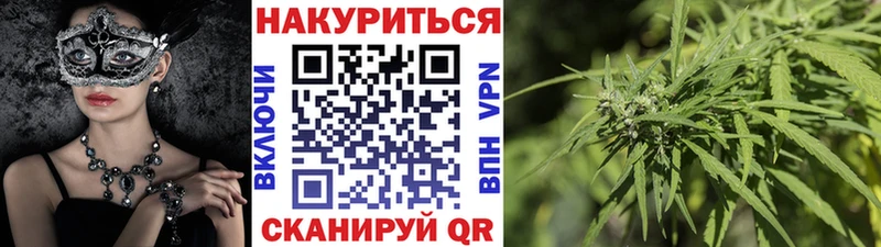 Шишки марихуана SATIVA & INDICA купить наркотик Приозерск